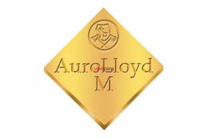 Благородный сплав AuroLloyd M