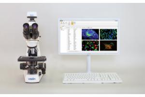 Анализ, подготовка отчетов и организация виртуальных препаратов в флуоресцентной микроскопии Vision Bio® Epi